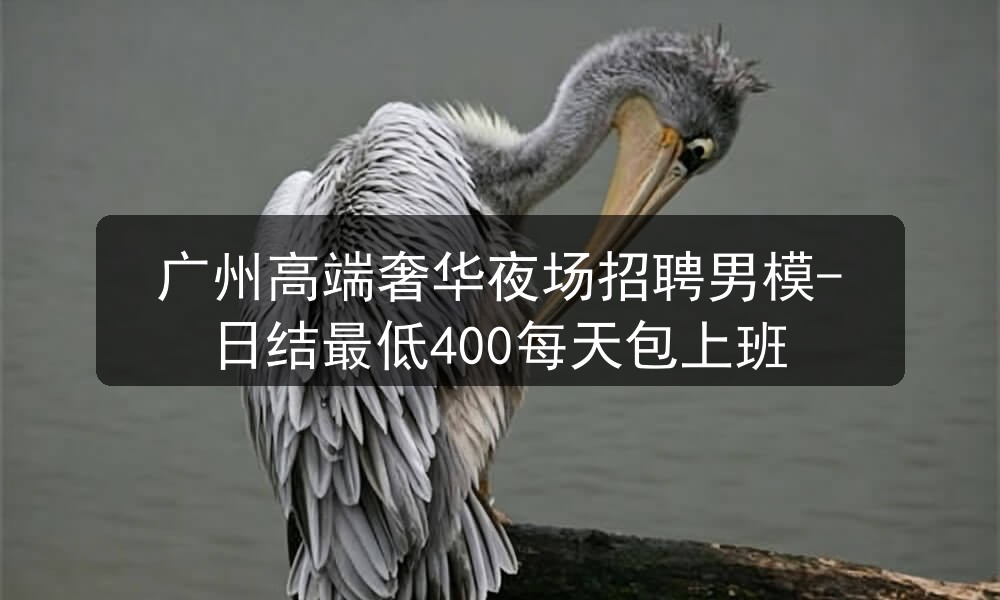 广州高端奢华夜场招聘男模-日结最低400每天包上班